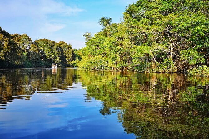 Bongawan River Cruise Proboscis Monkey, SkyMirror, Fireflies - Practical Tips for Travelers