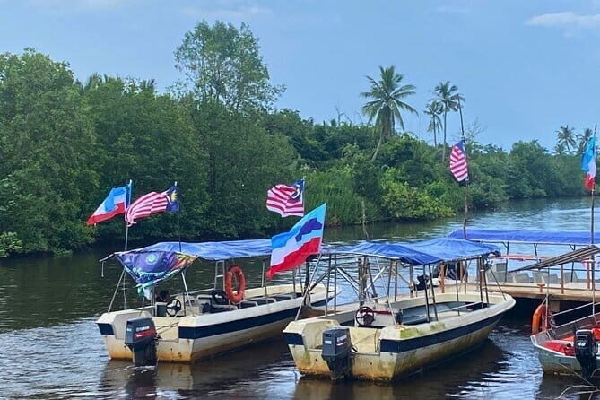 Bongawan River Cruise Proboscis Monkey, SkyMirror, Fireflies - FAQ