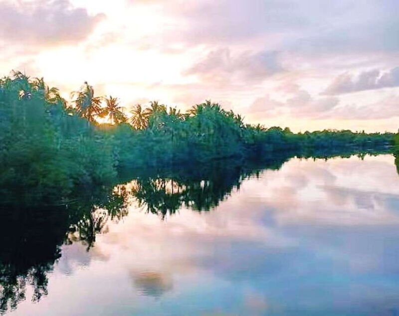 bongawan-wetland-proboscis-monkey-and-fireflies-shared-tour