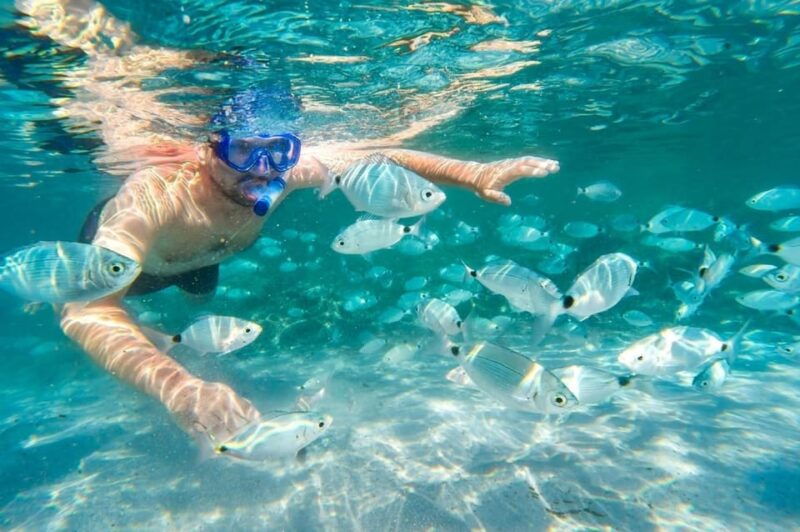 bonifacio-guided-boat-tour-and-snorkeling