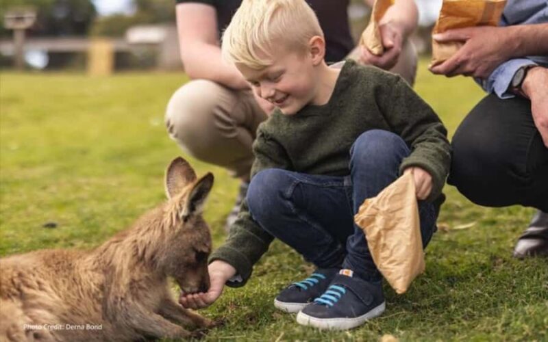 Bonorong & Richmond: Shore Excursion (Private Tour) - Detailed Breakdown of the Itinerary