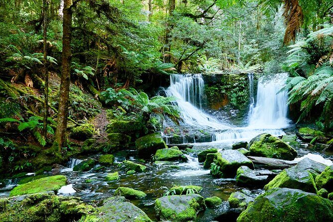 Bonorong Wildlife Park and Richmond Afternoon Tour from Hobart - What Travelers Are Saying