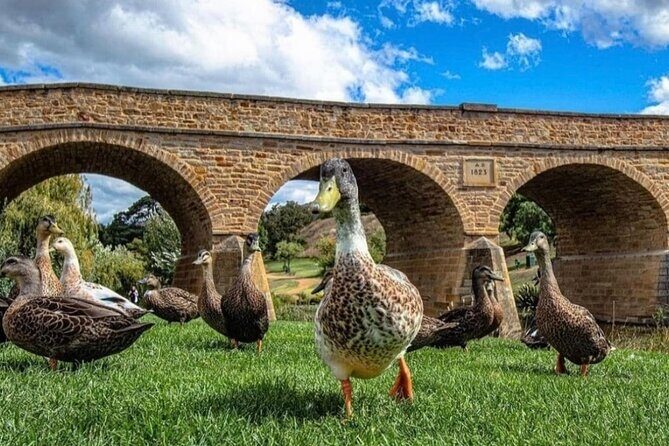 Bonorong Wildlife Park and Richmond Afternoon Tour from Hobart - FAQ