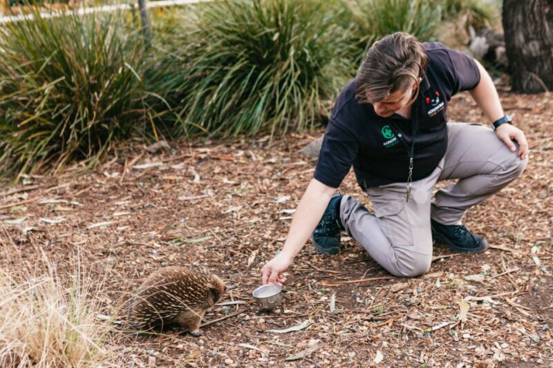 Bonorong Wildlife Sanctuary Half-Day Tour from Hobart - Who Will Love This Tour?