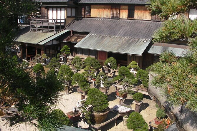 bonsai-and-washi-museum-visit-in-tokyo