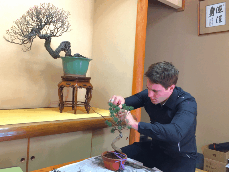 bonsai-city-bonsai-tour-experience-at-bonsai-sanctuary