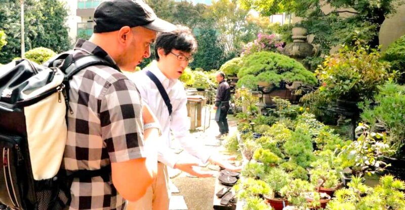 bonsai-city-bonsai-tour-experience-at-bonsai-sanctuary