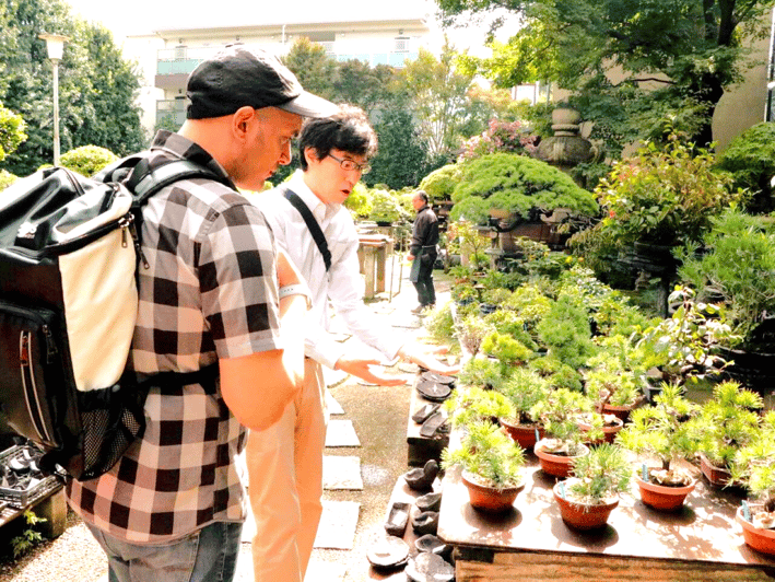 bonsai-city-bonsai-tour-experience-at-bonsai-sanctuary
