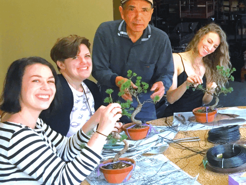 bonsai-city-bonsai-tour-experience-at-bonsai-sanctuary