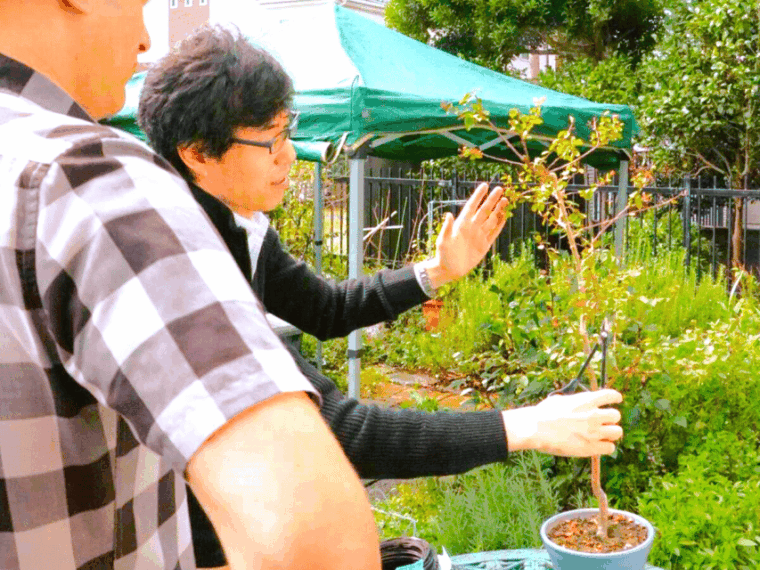 bonsai-city-bonsai-tour-experience-at-bonsai-sanctuary