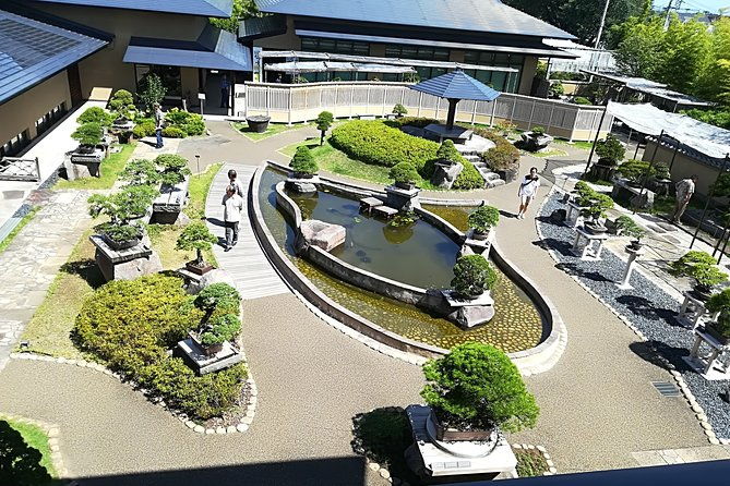 bonsai-museum-bonsai-experience