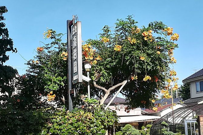 bonsai-museum-bonsai-experience