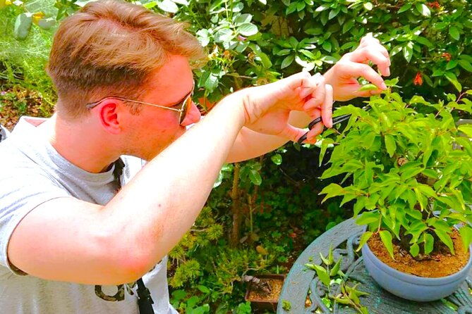 bonsai-tour-experience-at-the-most-sacred-city-for-bonsai-in-jp