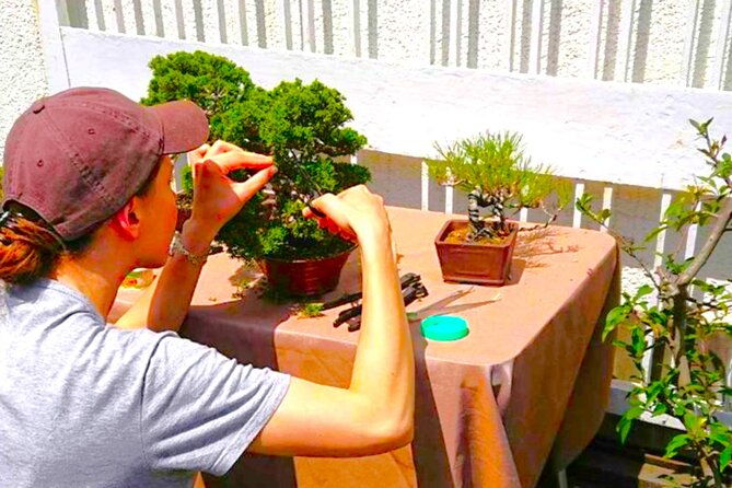 bonsai-tour-experience-at-the-most-sacred-city-for-bonsai-in-jp