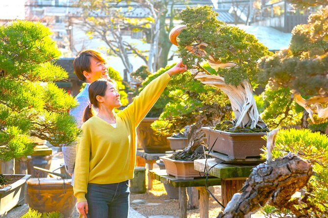bonsai-tour-experience-at-the-most-sacred-city-for-bonsai-in-jp
