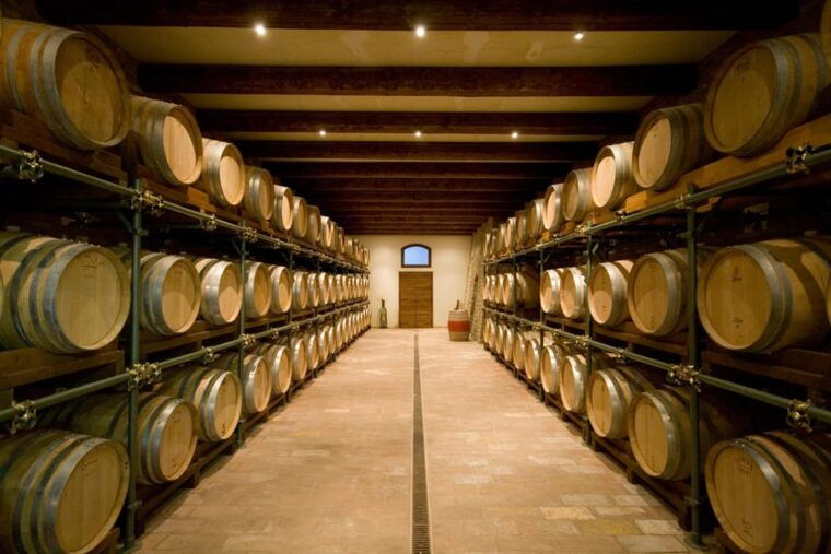 bonzara-estate-tour-and-wine-tasting-in-the-colli-bolognesi