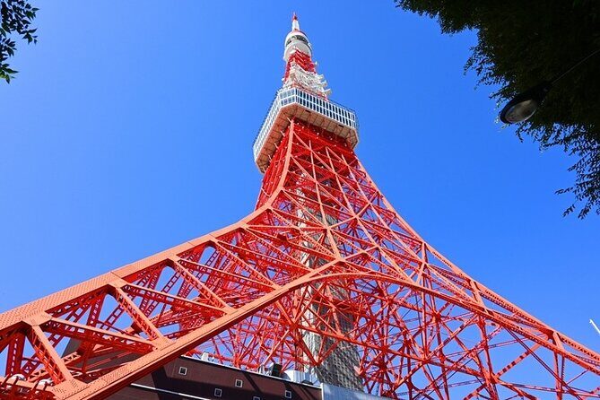 Book a jumbo taxi in Tokyo - Who Should Consider This Tour?