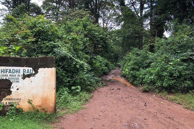 Book Day Hike at Rau Forest Reserve, Near Moshi Town in Tanzania - Discovering Rau Forest: A Natural and Cultural Haven
