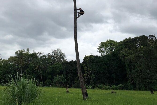 Book Day Hike at Rau Forest Reserve, Near Moshi Town in Tanzania - FAQs