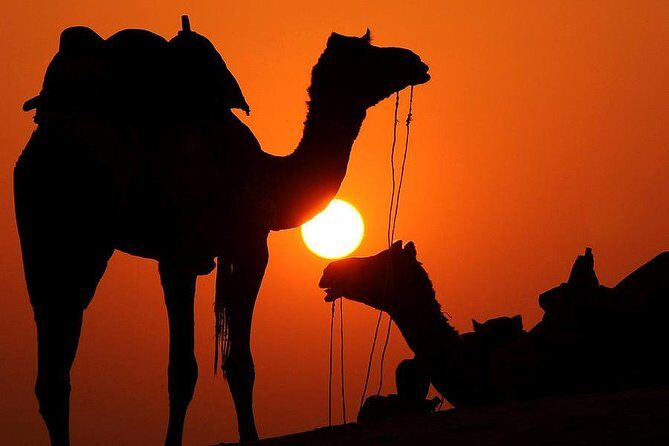 Book Van 8 Seats 10 Days Tour Around Morocco - The Itinerary: A Detailed Breakdown