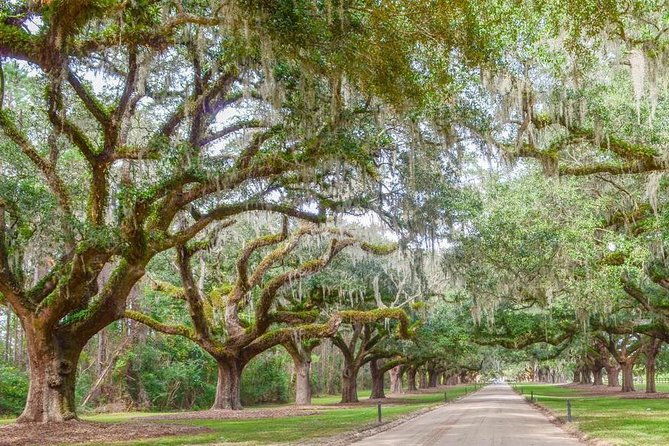 boone-hall-plantation-all-access-admission-ticket