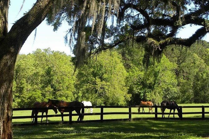 boone-hall-plantation-all-access-admission-ticket