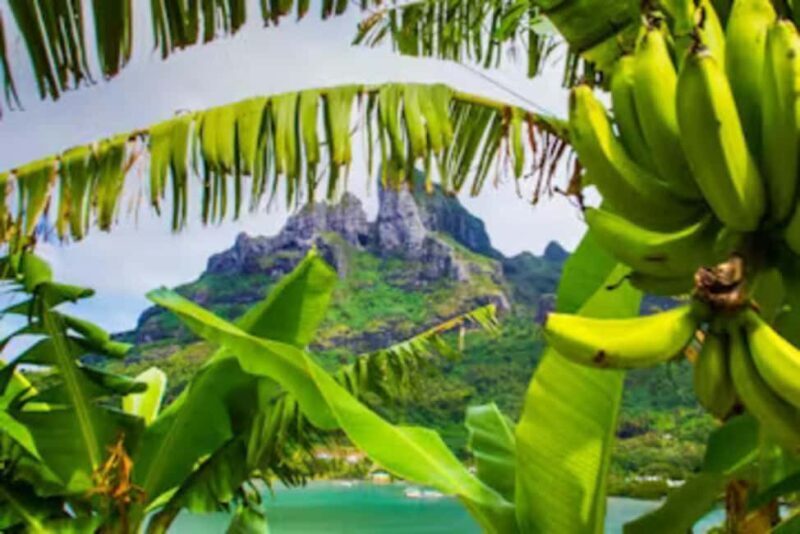 Bora Bora: 4WD History & Culture Tour - An In-Depth Look at the Bora Bora 4WD Tour