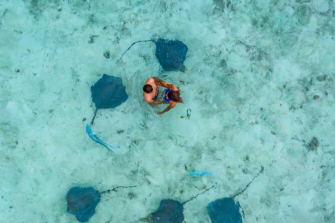 Bora Bora 4WD Tour & Eco Shark & Ray Snorkel Cruise - FAQ
