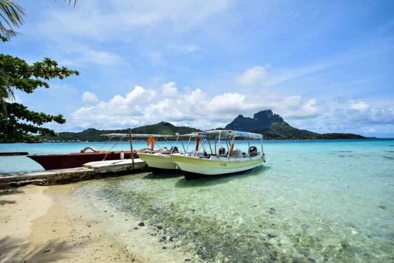 Bora Bora: 4x4 Safari with Snorkelling Combo Tour - Who Would Love This Tour?