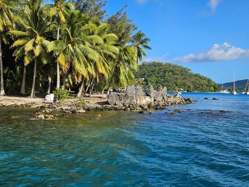 Bora Bora: Complete lagoon tour in 2 hours - What Travelers Say