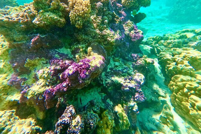 Bora Bora crazy sea and land Adventure - Who Should Consider This Tour?