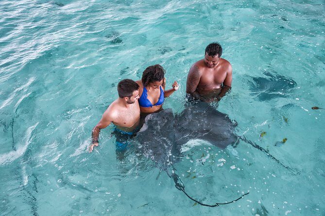 Bora Bora Eco Snorkel Cruise Including Snorkeling with Sharks and Stingrays - The Experience at a Glance: What You Can Expect