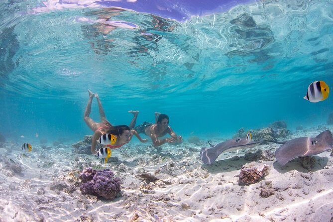 Bora Bora Eco Snorkel Cruise Including Snorkeling with Sharks and Stingrays - Detailed Breakdown of the Itinerary