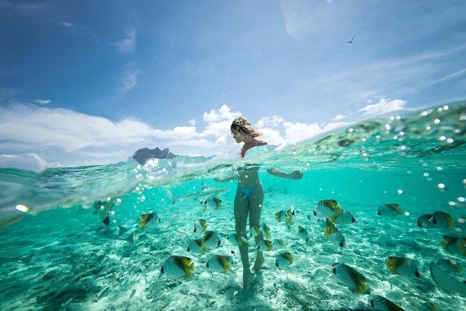 Bora Bora Eco Snorkel Cruise Including Snorkeling with Sharks and Stingrays - Assessing the Value