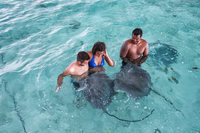 Bora Bora Eco Snorkel Cruise Including Snorkeling with Sharks and Stingrays - Final Thoughts: Is This Tour Right for You?
