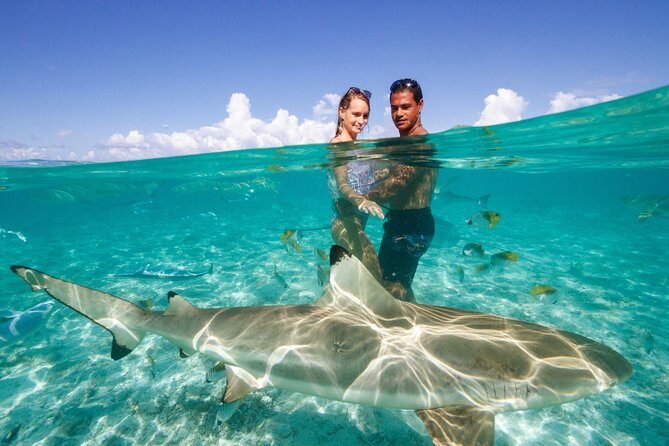 Bora Bora Eco Snorkel Cruise Including Snorkeling with Sharks and Stingrays - FAQs