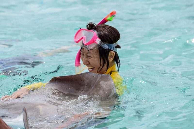 Bora Bora: Full-Day Lagoon Snorkelling Tour - The Tour Experience in Detail  