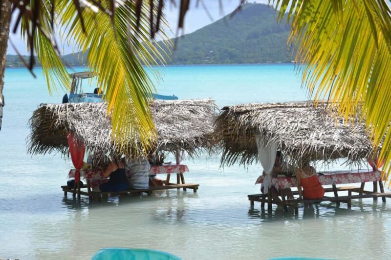 Bora Bora: Full-Day Lagoon Snorkelling Tour - Authentic Encounters and Highlights  