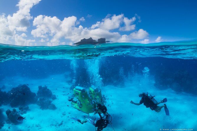 Bora Bora Half-Day Catamaran Sailing, Snorkeling and Floating Bar Experience - Why This Experience Is Worth Considering