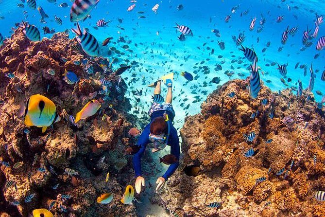 Bora Bora Half-Day Catamaran Sailing, Snorkeling and Floating Bar Experience - Who Should Book This Tour?
