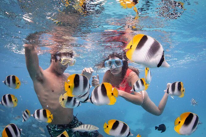 Bora Bora Jet Ski Tour, & Eco Shark / Ray Snorkel Cruise - What to Expect from the Bora Bora Jet Ski & Snorkel Tour