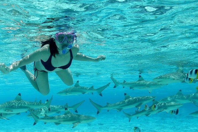 Bora Bora Jet Ski Tour, & Eco Shark / Ray Snorkel Cruise - Practical Tips for Booking & Enjoying