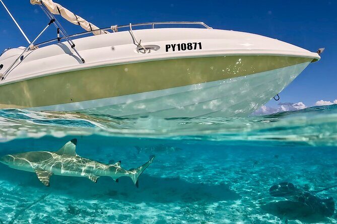 Bora Bora Jet Ski Tour, & Eco Shark / Ray Snorkel Cruise - Final Words