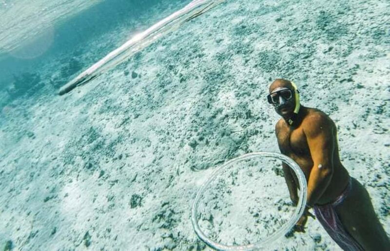 Bora Bora: Lagoon Snorkeling Half-Day Private Boat Tour - Discovering Bora Bora’s Lagoon: A Private Snorkeling Adventure