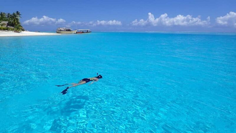 Bora Bora: Small Group Snorkeling Boat Tour with Pickup - Exploring Bora Bora’s Underwater Wonderland