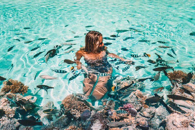 Bora Bora Snorkel Cruise by Polynesian Outrigger Canoe with BBQ Island Lunch - An In-Depth Look at the Tour Experience