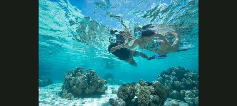 Bora Bora: Snorkeling and Fishing Tour with Lunch Option - Exploring the Itinerary and Experience