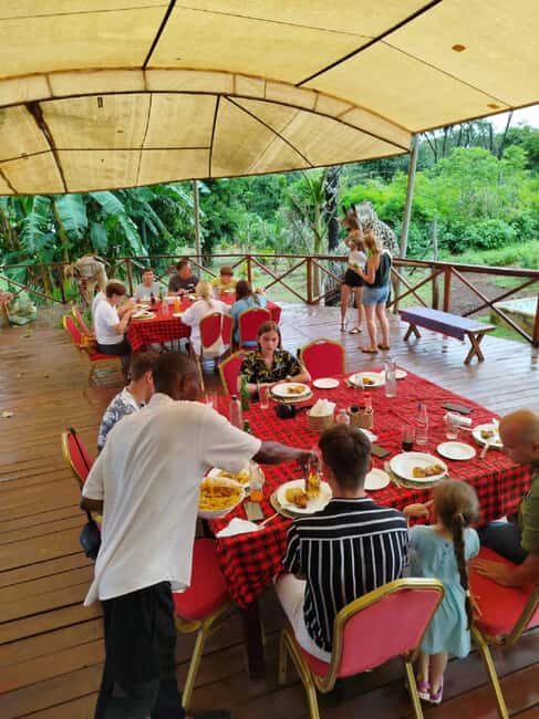 Borabora: Animal Park Guided and Bush Tour - Detailed Itinerary Breakdown