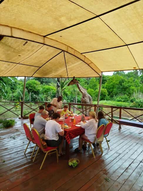 Borabora: Animal Park Guided and Bush Tour - Important Considerations