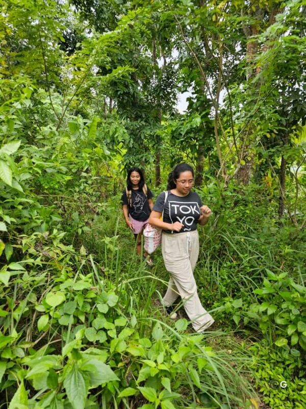 Boracay Island Foraging with Hidden Beach Experience - Exploring the Boracay Foraging Tour: What to Expect